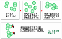 臭氧消毒器的結(jié)構(gòu)是怎樣的？